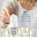 Kleenex® Facial Tissue — 2-Ply, 100 Sheets/Box - Case of 48 (21606)