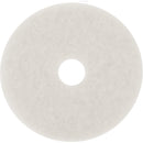 Floor Pad, 19", White, Polish - Case of 5 (4100PLG)