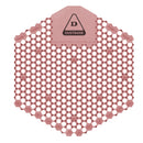 3D Shield Urinal Screens, Spiced Apple - Pack of 2 (50266)