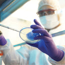 Kimtech™ Examination Gloves, Nitrile, 6-mil, Powder-Free, Purple, Class 2, Box of 100 - 10 per case (Multiple Sizes)