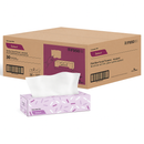 Standard Facial Tissue — 2-Ply, 100 Sheets, Case of 30 (F950)