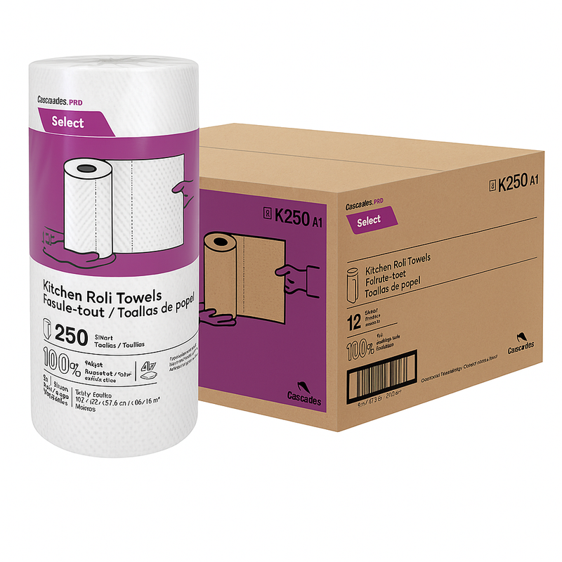 Essuie-tout K250 essuie-tout 2 épaisseurs (12 x 250)