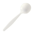 Eco-friendly, Plant Starch, Disposable Spoons - Case of 1000 (ECPC1001-ST)
