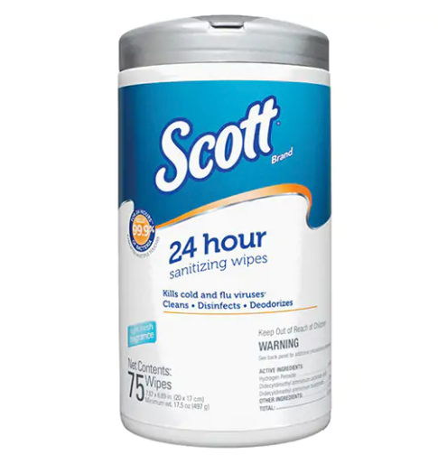 24 Hour Sanitizing Wipes (75ct)