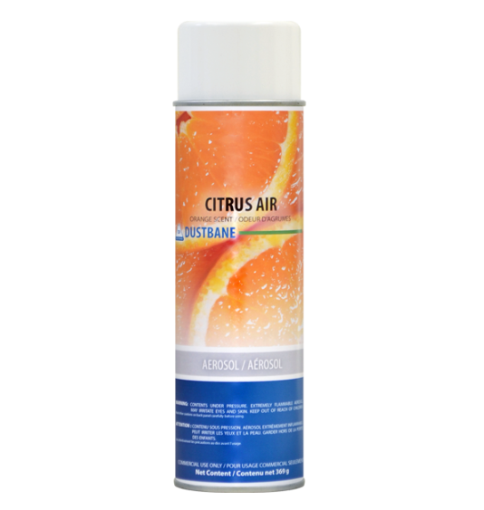 Citrus Air Deodorizer (369g)