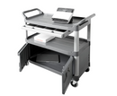 Equipment Cart with Lockable Door 37 x 16.5 x 20.75" 300 lbs. Cap.